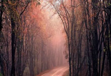 球友会：邵佳一送南基一一程？西海岸继续抢着打，河南让钟义浩首发搏一把.