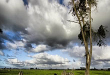 [球之夜]20250116 新生代新方向.