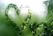 意甲:博洛尼亚逆转AC米兰.