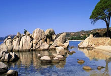 球友会：中国队在亚冬会频创历史，热带国家首次夺金.